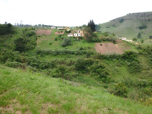 Hillside Homes.